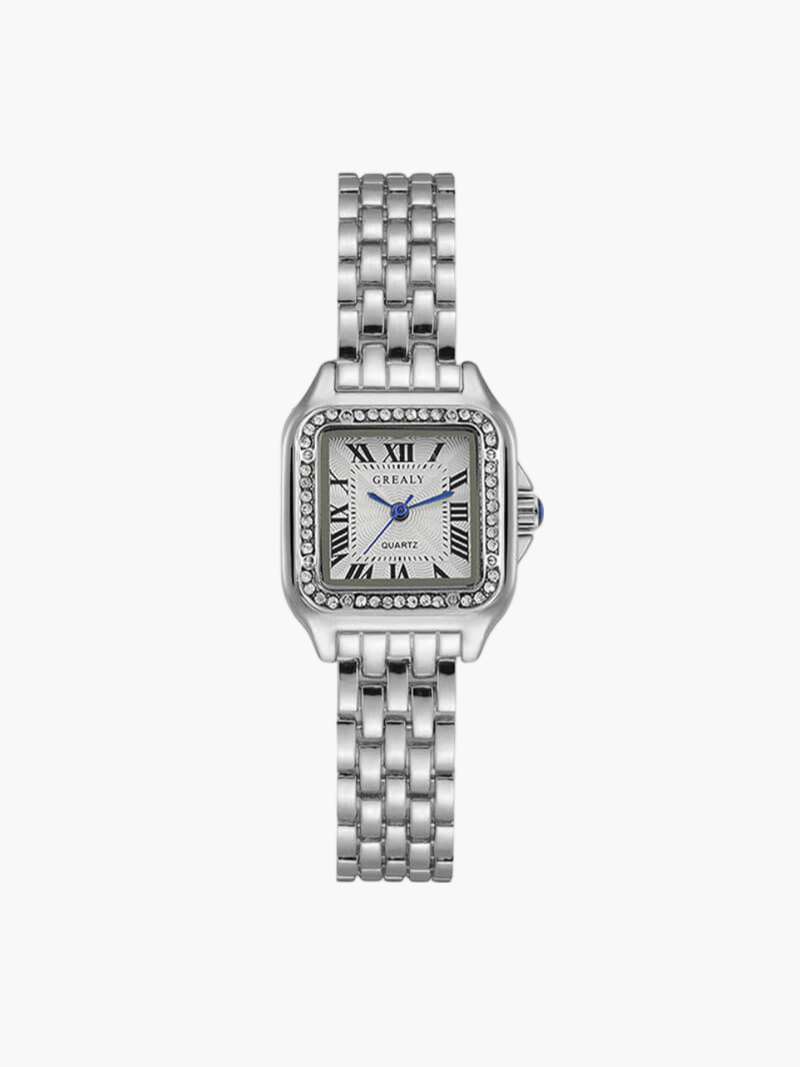 Sleek Watch with Class
