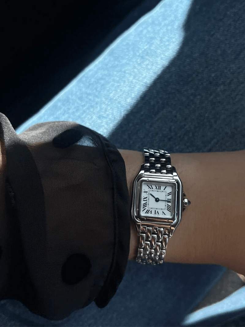Sleek Watch with Class