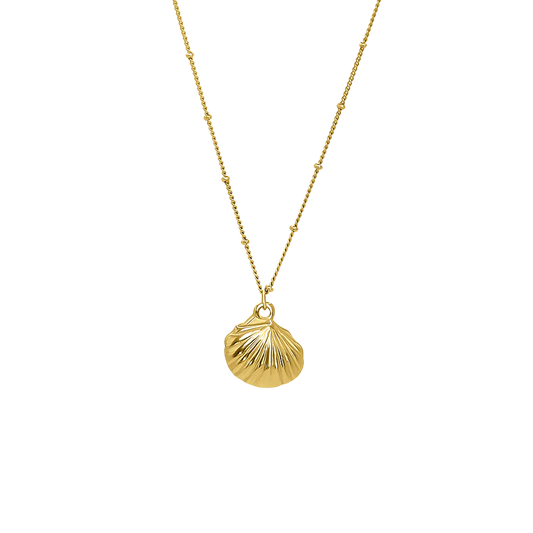 18K GOLD SHELL NECKLACE
