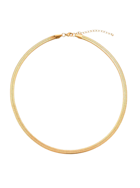 Sleek Flat Chain Necklace